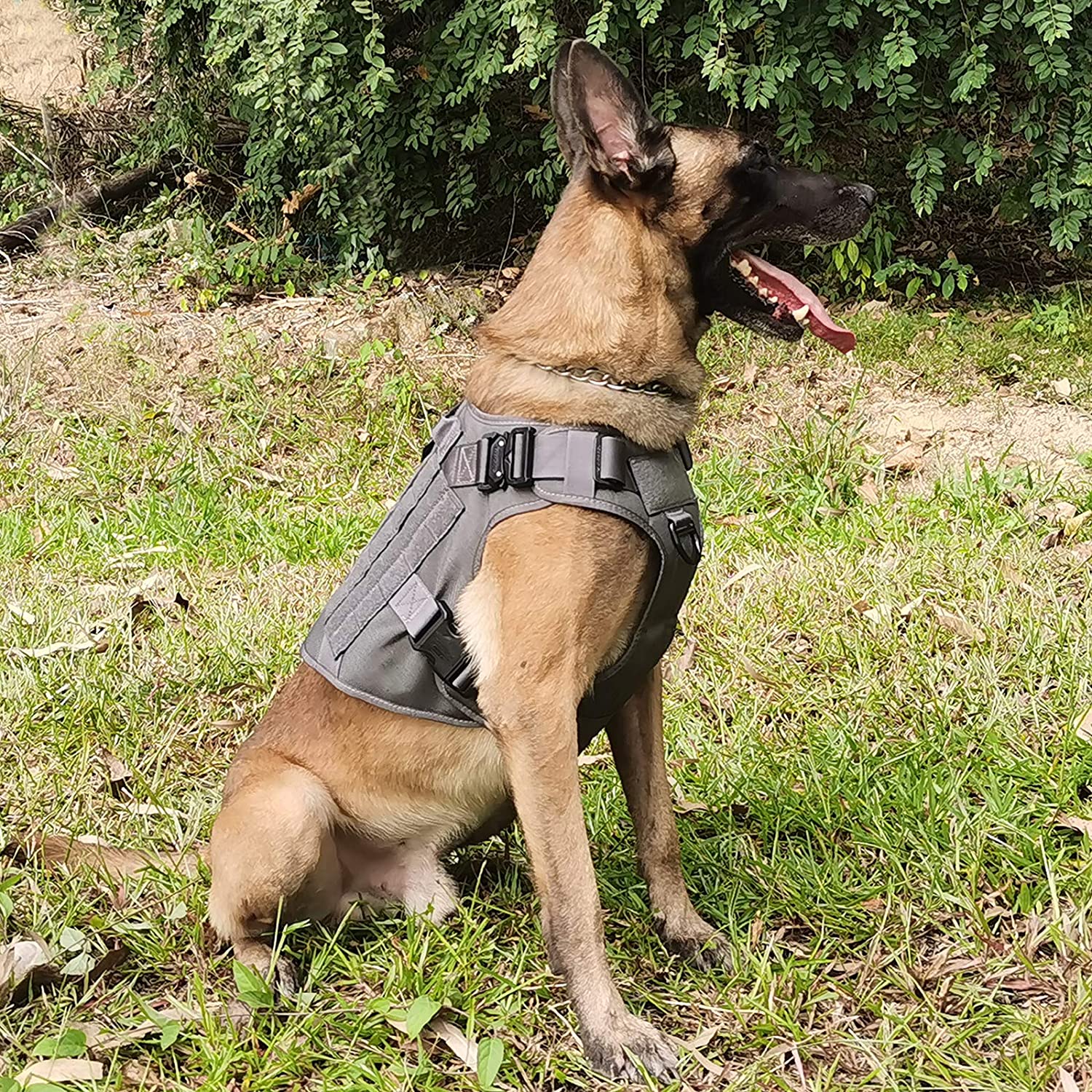 Are front clip harnesses good for dogs?