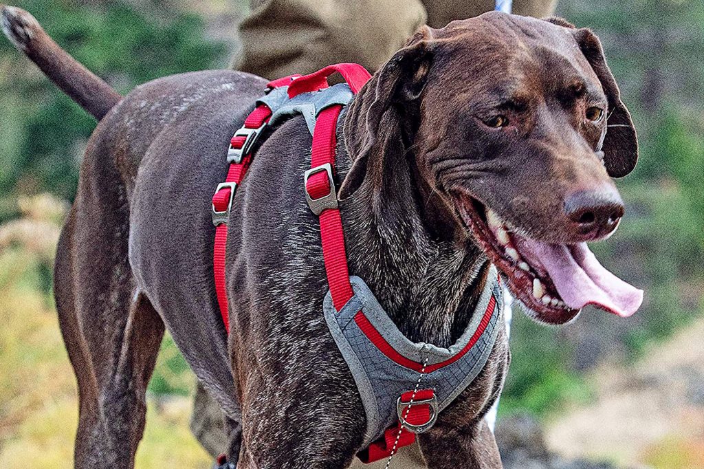 dog harness sensitive skin