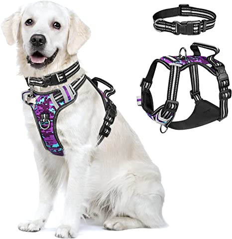 dog harness with handle on back