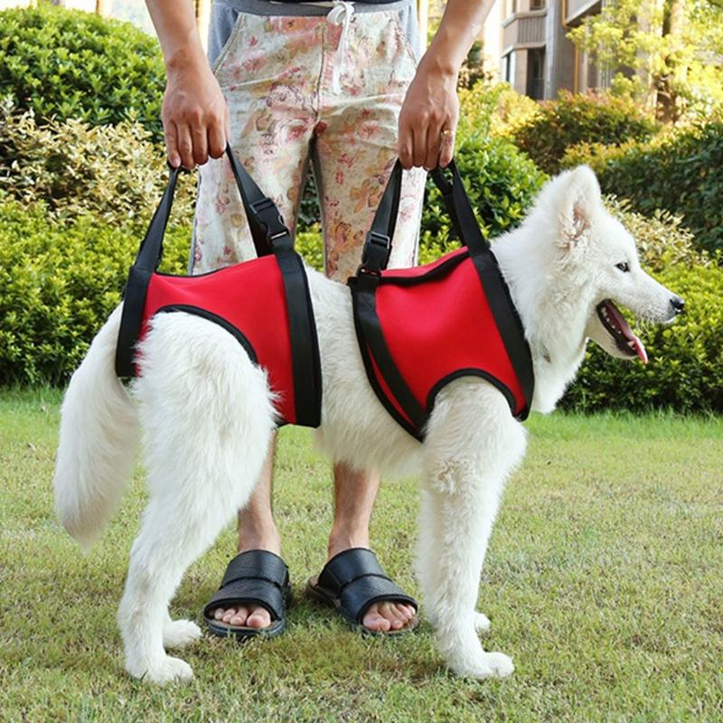 dog harness to assist walking