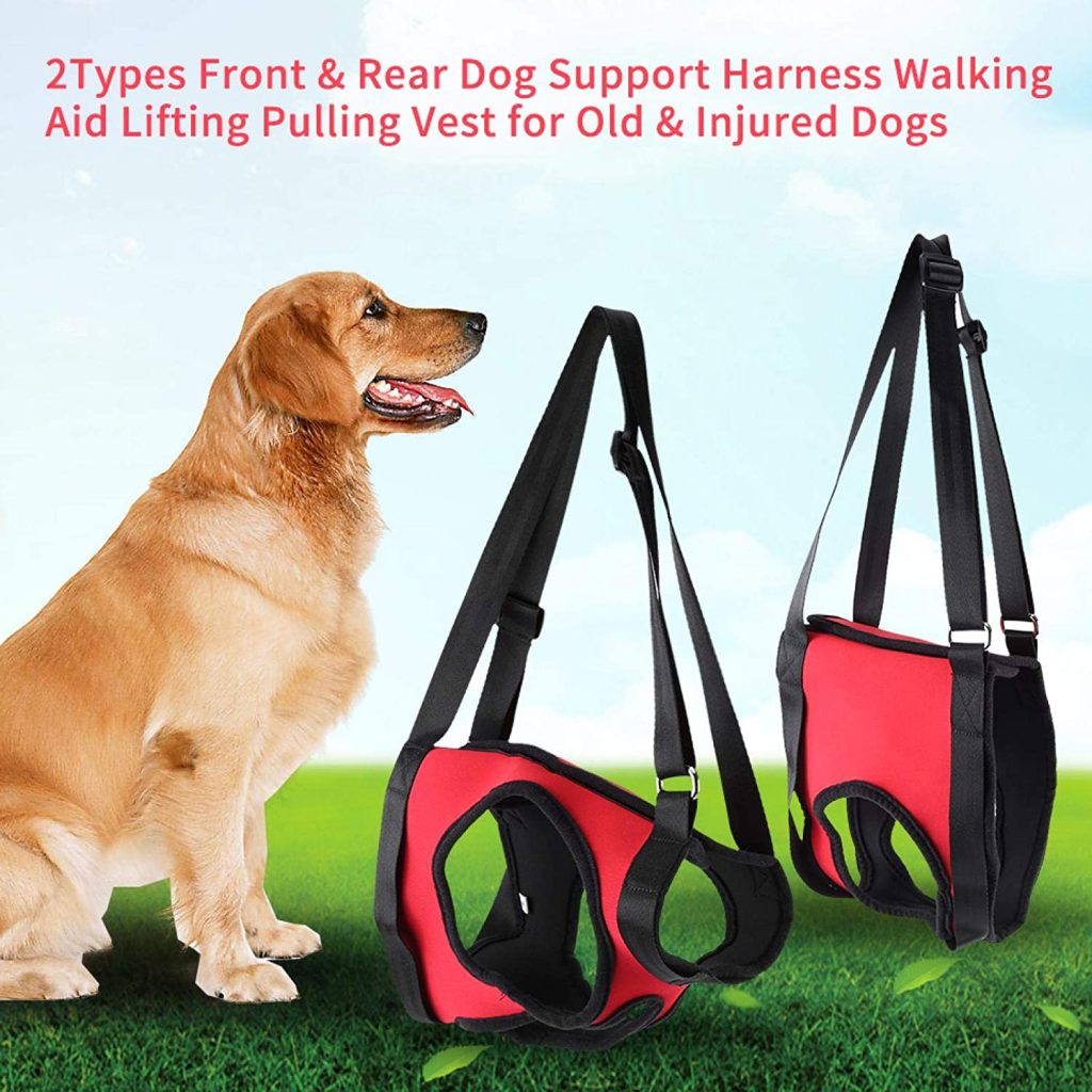 dog harness to assist walking