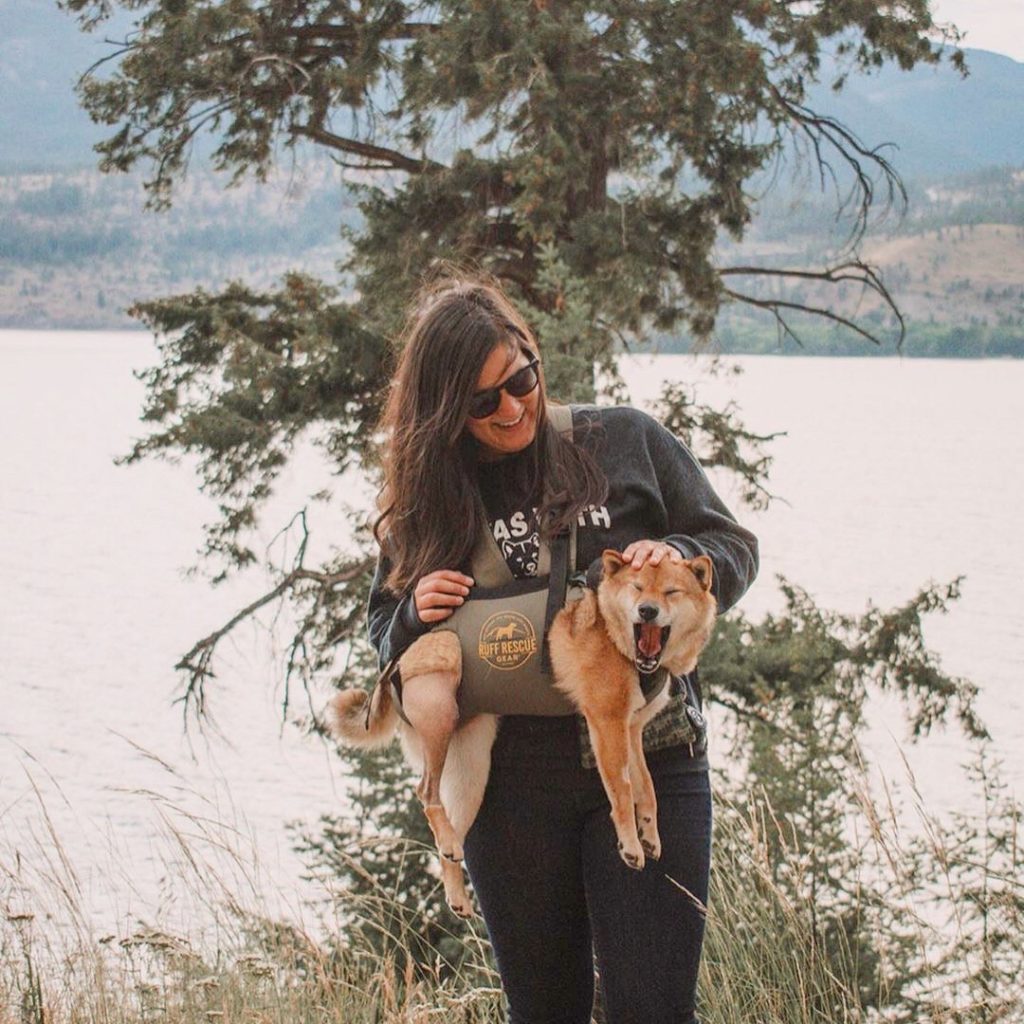 dog harness to carry dog