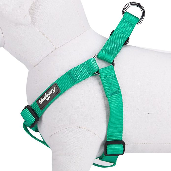 dog harness types