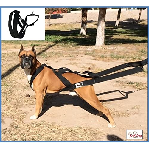 dog harness by weight