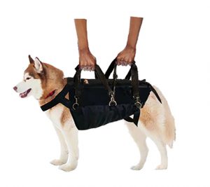 dog harness with handle for lifting
