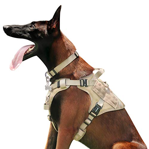 dog harness with metal buckles