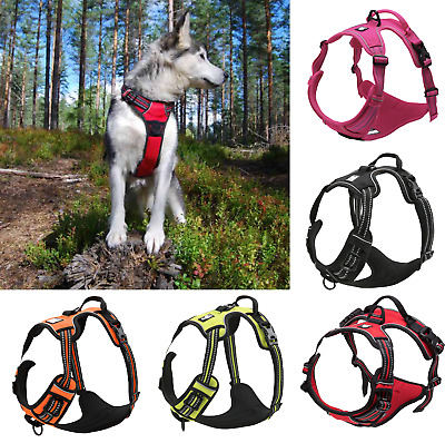 dog harness clip in front