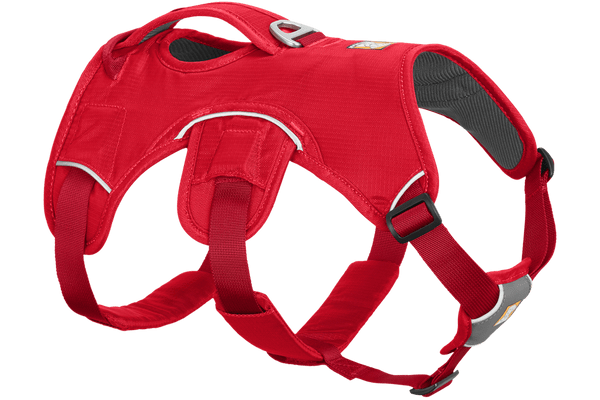 dog harness with handle for lifting